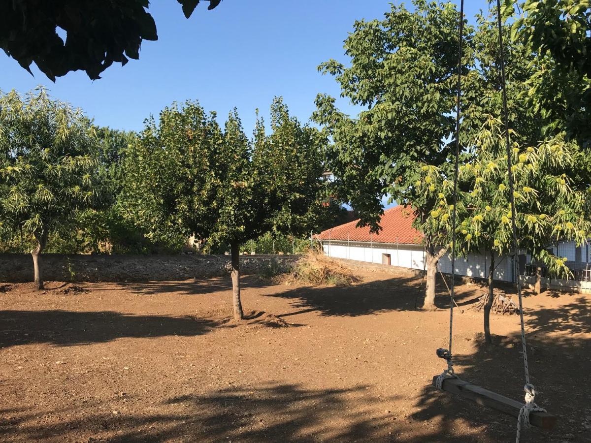 Olympus Beach Aigani Family House Exterior photo